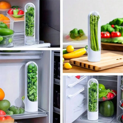 Conservador de hierbas para neveras